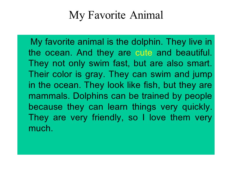 essay on my favourite pet dog